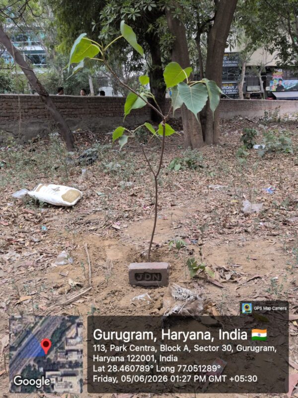 Green Initiative3