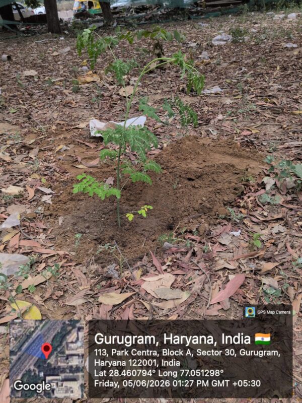 Green Initiative4