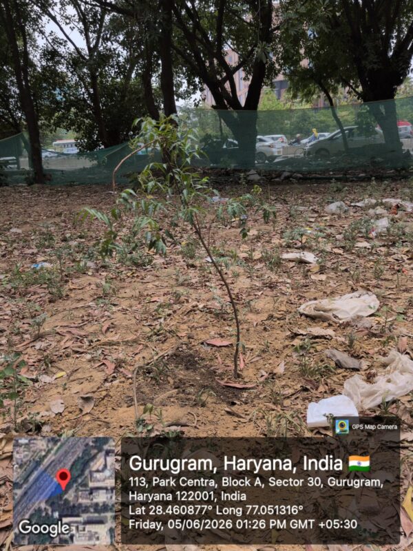 Green Initiative5